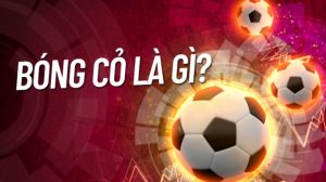 Bóng cỏ là gì?